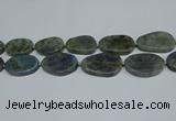 CNG7052 15.5 inches 25*35mm - 30*45mm freeform labradorite beads