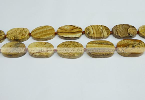 CNG7053 15.5 inches 20*30mm - 22*35mm freeform picture jasper beads