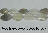 CNG7081 15.5 inches 25*35mm - 35*45mm faceted freeform agate beads