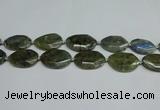 CNG7098 25*35mm - 35*45mm faceted freeform labradorite beads