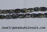 CNG7487 15.5 inches 18*25mm - 20*30mm faceted freeform labradorite beads