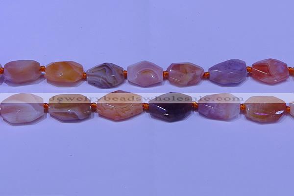 CNG7528 18*25mm - 25*35mm faceted freeform red Botswana agate beads