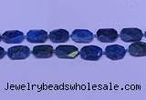 CNG7533 15.5 inches 18*25mm - 25*35mm faceted freeform apatite beads