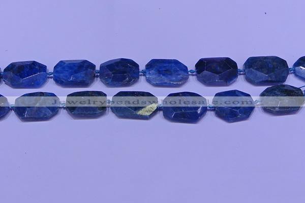 CNG7533 15.5 inches 18*25mm - 25*35mm faceted freeform apatite beads