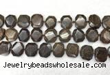 CNG7568 15.5 inches 18*25mm - 20*28mm faceted freeform bronzite beads