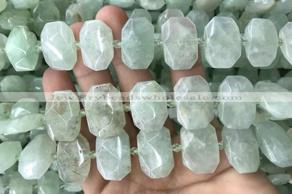 CNG7753 13*18mm - 15*25mm faceted freeform light prehnite beads