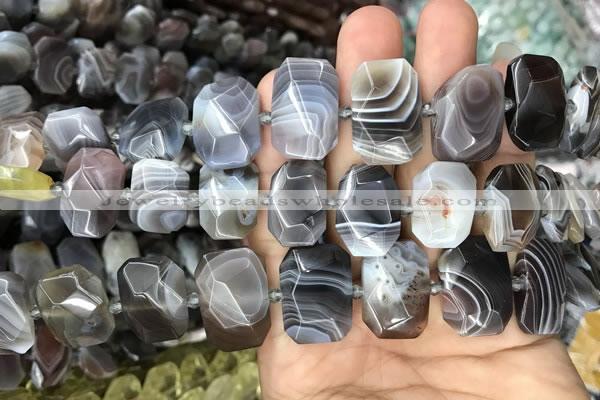 CNG7773 13*18mm - 15*25mm faceted freeform Botswana agate beads