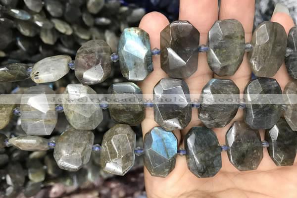 CNG7774 13*18mm - 15*25mm faceted freeform labradorite beads