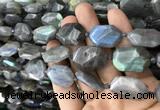 CNG7820 15.5 inches 13*18mm - 18*25mm faceted freeform labradorite beads