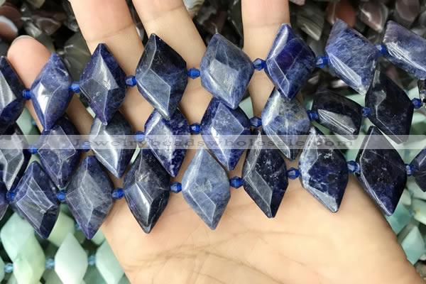 CNG7878 15.5 inches 13*20mm - 15*25mm faceted freeform sodalite beads