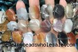 CNG7879 13*18mm - 15*25mm faceted freeform Botswana agate beads