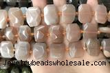 CNG7884 13*18mm - 15*25mm faceted freeform moonstone beads