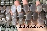 CNG7886 13*18mm - 15*25mm faceted freeform moonstone beads