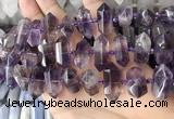 CNG7930 15.5 inches 8*22mm - 12*30mm faceted nuggets amethyst beads