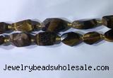 CNG7963 15.5 inches 15*25mm - 20*40mm nuggets yellow tiger eye beads