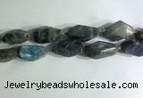 CNG7964 15.5 inches 15*25mm - 20*40mm nuggets labradorite beads