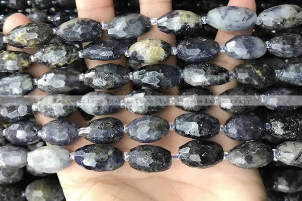 CNG8521 15.5 inches 10*16mm - 11*20mm faceted nuggets iolite beads