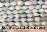 CNG8530 15.5 inches 8*9mm - 9*11mm faceted nuggets moonstone beads