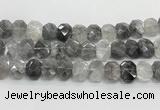 CNG8612 10*13mm - 12*16mm faceted freeform cloudy quartz beads