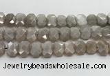 CNG8615 10*13mm - 12*16mm faceted freeform moonstone beads