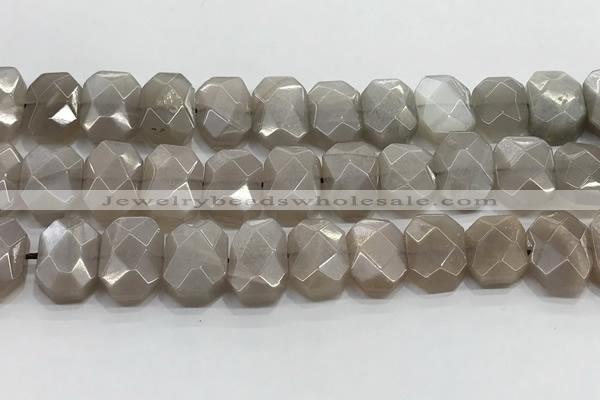 CNG8615 10*13mm - 12*16mm faceted freeform moonstone beads