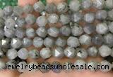 CNG8717 15.5 inches 10mm faceted nuggets labradorite gemstone beads