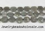 CNG8809 15.5 inches 16mm - 20mm faceted freeform moonstone beads