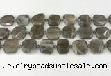 CNG8810 15.5 inches 16mm - 20mm faceted freeform moonstone beads