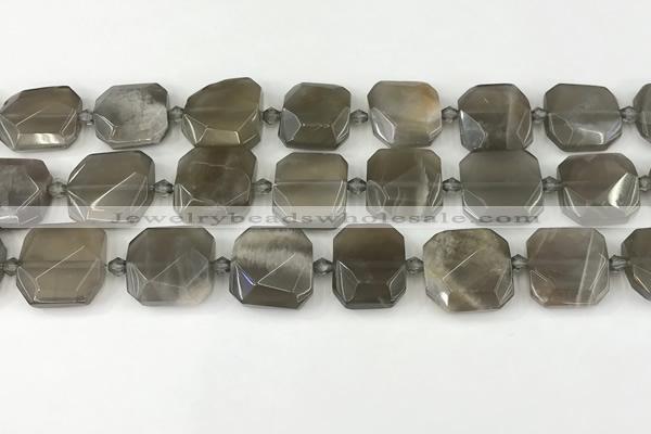 CNG8810 15.5 inches 16mm - 20mm faceted freeform moonstone beads