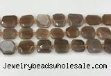 CNG8811 15.5 inches 16mm - 20mm faceted freeform moonstone beads