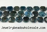 CNG8821 15.5 inches 16mm - 20mm faceted freeform apatite beads