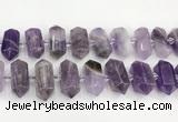 CNG8916 15.5 inches 10*25mm - 15*30mm faceted nuggets amethyst beads