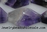 CNG893 15.5 inches 22*30mm faceted freeform dogtooth amethyst beads