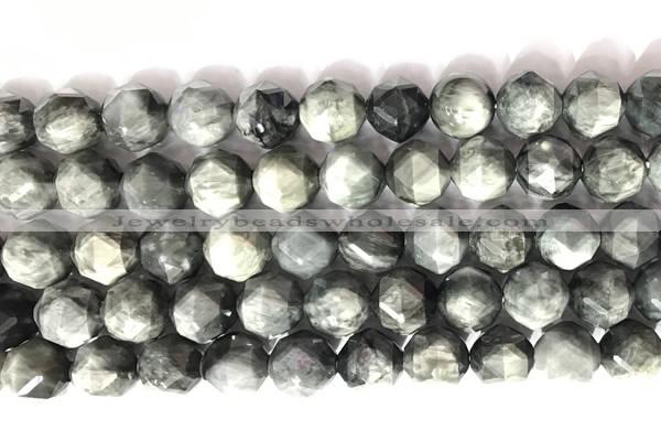 CNG9069 15.5 inches 10mm faceted nuggets eagle eye jasper gemstone beads