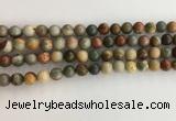 CNI370 15.5 inches 6mm round American picture jasper beads