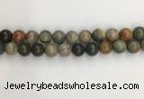 CNI373 15.5 inches 12mm round American picture jasper beads