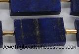 CNL1520 15.5 inches 20*30mm - 25*35mm rectangle lapis lazuli beads