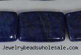 CNL537 15.5 inches 20*30mm rectangle natural lapis lazuli gemstone beads