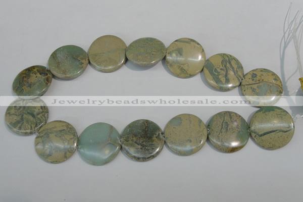 CNS235 15.5 inches 30mm flat round natural serpentine jasper beads