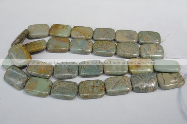 CNS257 15.5 inches 22*30mm rectangle natural serpentine jasper beads