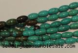 CNT117 15.5 inches 4*8mm rice natural turquoise beads wholesale