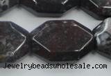 COJ07 15.5 inches 22*30mm octagonal blood jasper gemstone beads