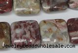 COJ216 15.5 inches 20*20mm square blood stone beads wholesale