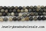 COP1603 15.5 inches 10mm round moss opal beads wholesale