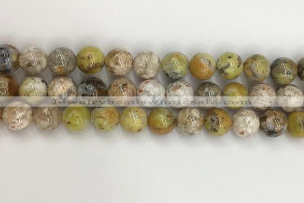 COP1673 15.5 inches 12mm round yellow opal gemstone beads