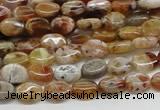 COP306 15.5 inches 6*8mm oval brandy opal gemstone beads wholesale