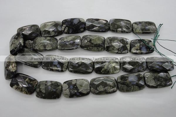 COP491 15.5 inches 20*30mm faceted rectangle natural grey opal beads