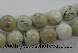 COP803 15.5 inches 10mm round natural African opal beads