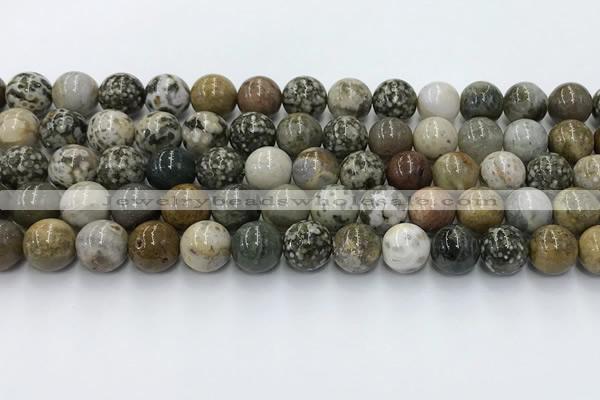 COS308 15.5 inches 10mm round ocean jasper beads wholesale