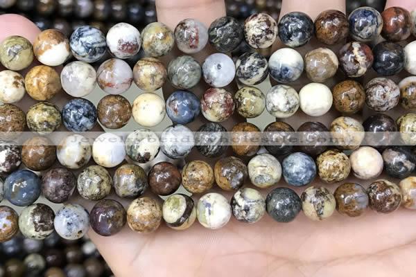 CPB1031 15.5 inches 8mm round pietersite beads wholesale